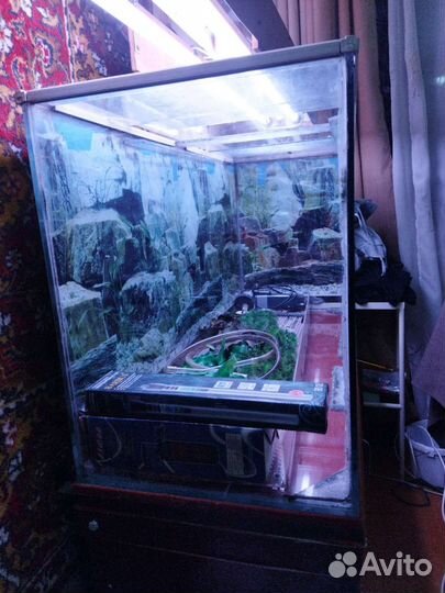 Аквариум 200 литров