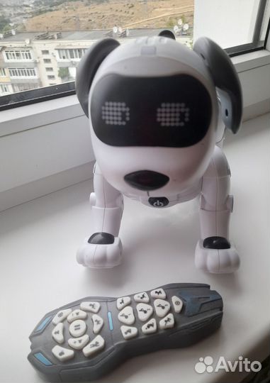 Собака робот