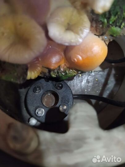 Фонтан новый декоративный с подсветкой в коробке