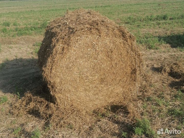 Солома в рулонах