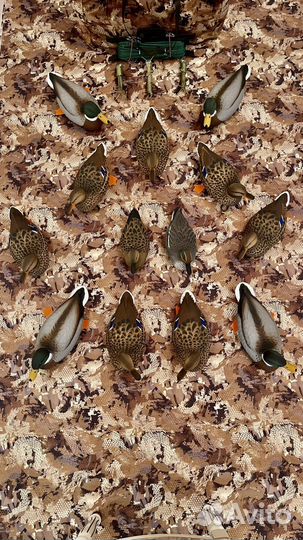 Утки чучела