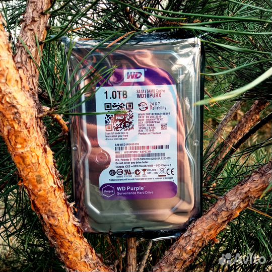 Жесткий диск 1тб HDD WD purple