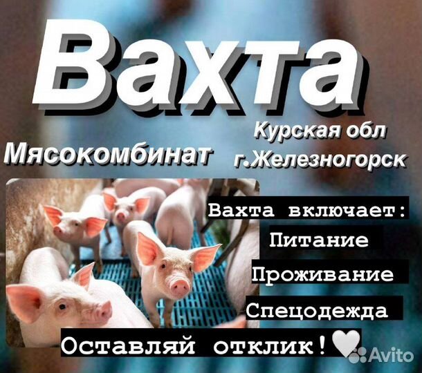 Разнорабочий на мясокомбинат/Вахта/Курская область