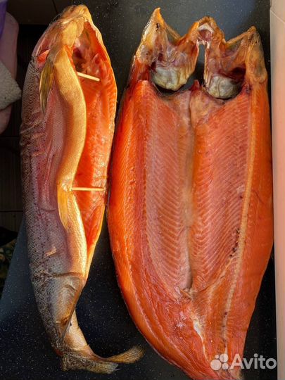 Форель холодного копчения