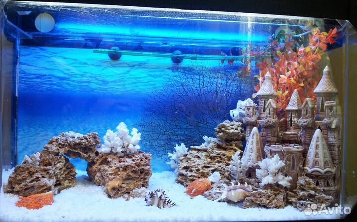 Обслуживание аквариумов и террариумов