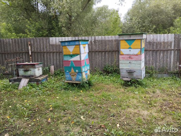 Улей с пчелами