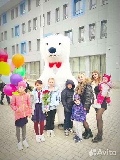 Белый мишка поздравление. Аниматор. Медведь