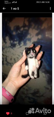 Брелок или подвеска в машину на заказ