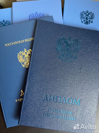 Образование Диплом