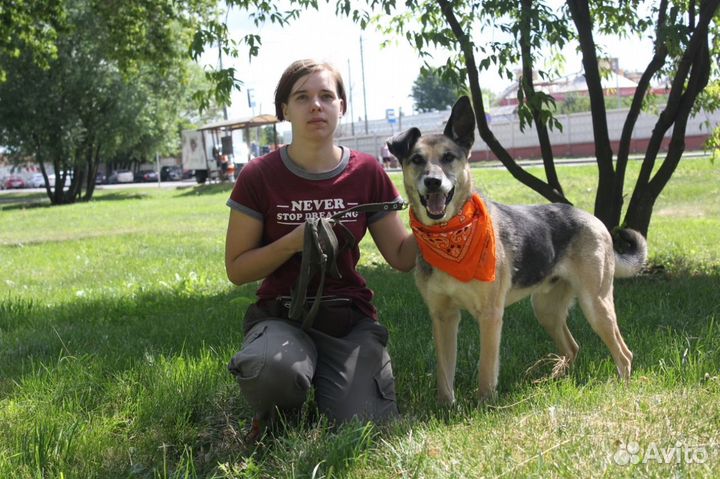 Старый Пашка надеется на чудо