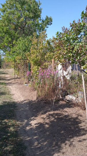 Участок 6 сот. (СНТ, ДНП)