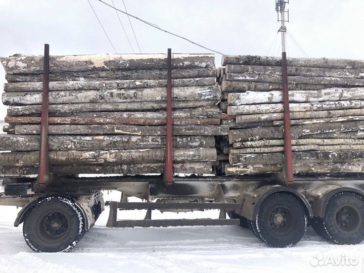 Балансы лиственных пород