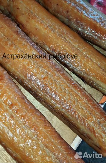 Сом холодного копчения в банке/ Из Астрахани