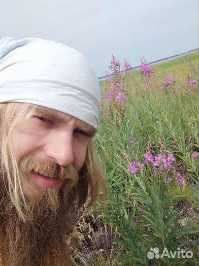 Иван-чай ферментированный горный отборный