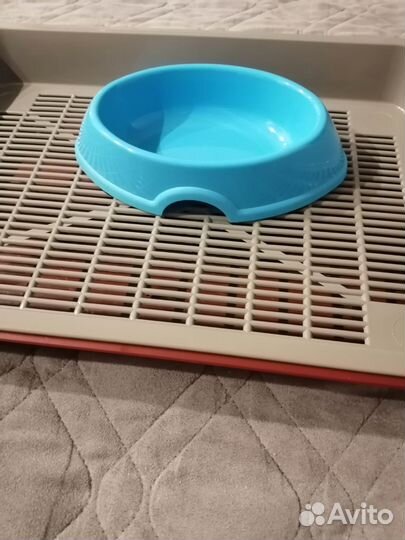 Лоток для котика