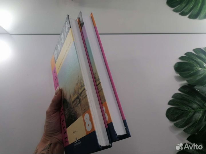 Учебник литературы 6 и 8 класс Коровина