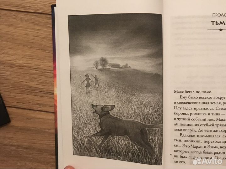 Книги (Верные) Кристофер Холт