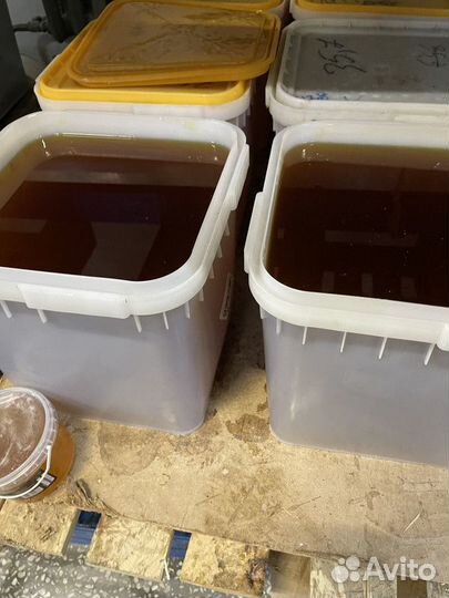 Мёд оптом. Высокогорный