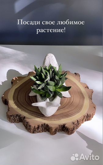 Цветочный горшок кашпо ваза