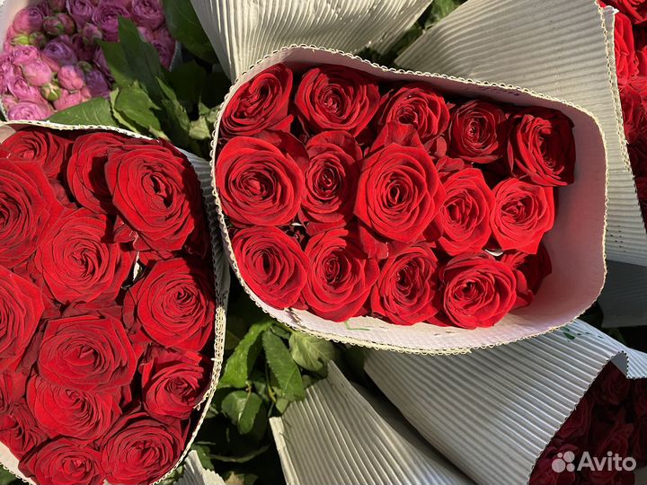 Цветы Ставрополь