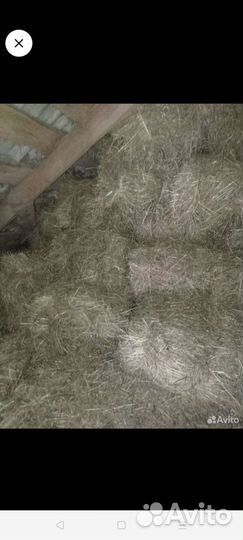 Сено в кипах