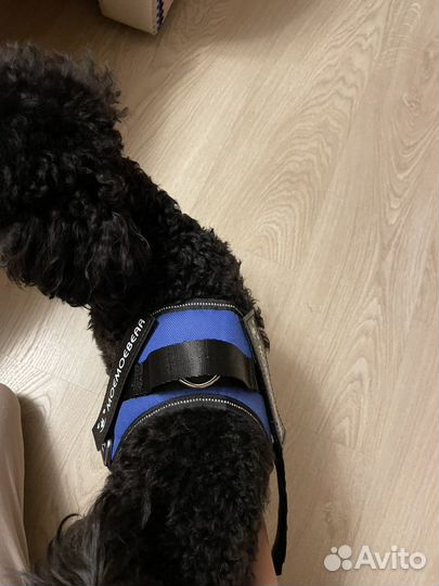 Шлейка для средней собаки