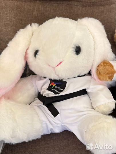 Заяц тхэквондо