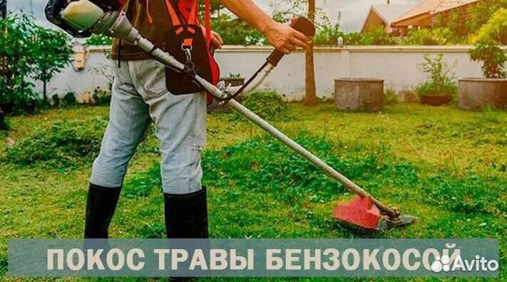 Сад благоустройство