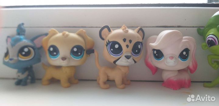 Lps, лпс, петы