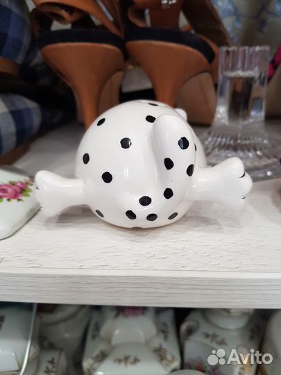 Славный котик бесплатно