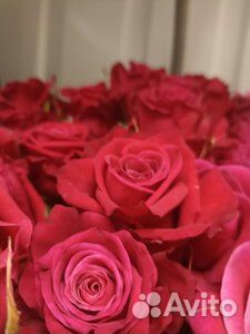 Живые цветы букеты К 1 Сентября в ТЦ Апрель