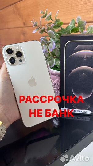 iPhone 12 Pro Max, 256 ГБ