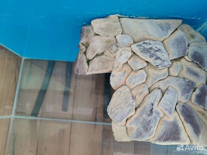Аквариум для черепах и рыб