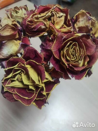 Сухоцветы розы лепестки цена за всё