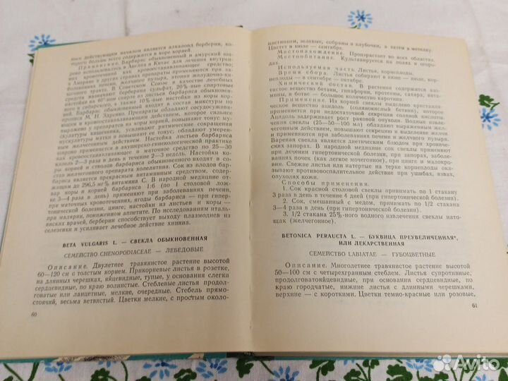 Завражнов В.И., Китаева Р.И., Хмелев К.Ф. Лекарств