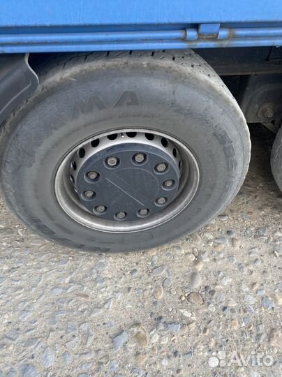 Шины Батоны