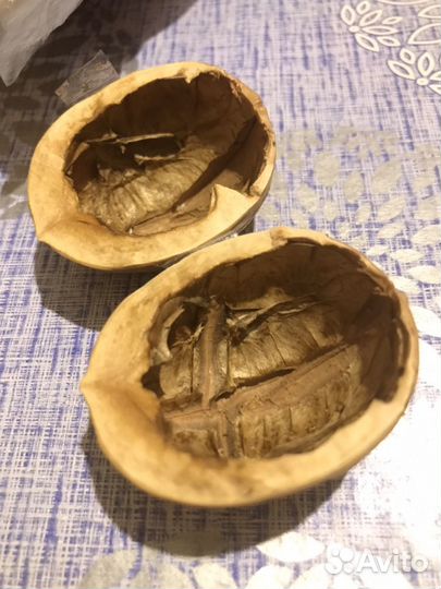 Грецкий орех для творчества и поделок