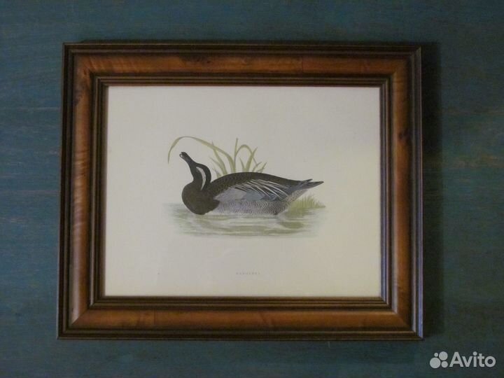 Старинные гравюры в деревянных рамах Утки и гуси