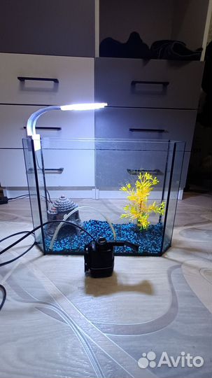 Аквариум 20 литров