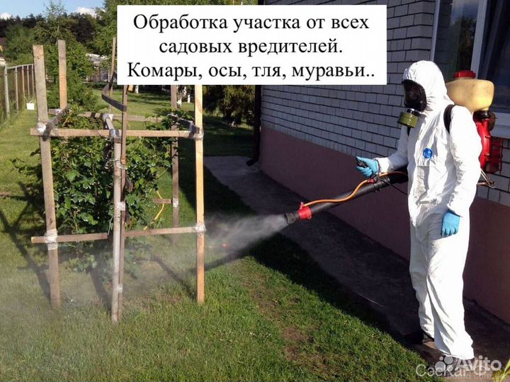 Обработка от клещей комаров муравьев мух тли