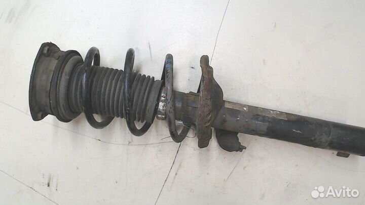 Амортизатор подвески Skoda Octavia (A7), 2017