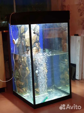 Аквариум вертикальный