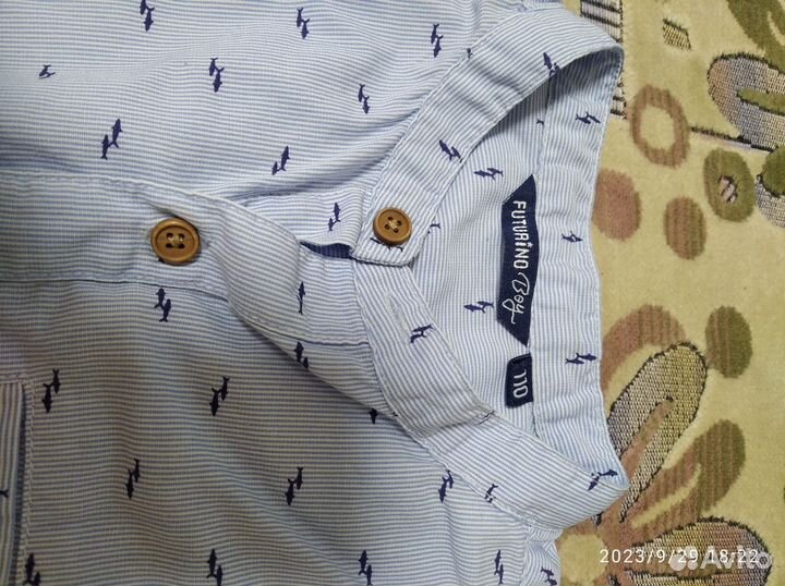 Рубашка с коротким рукавом 110 futurino boy