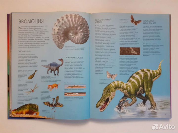 Детская энциклопедия