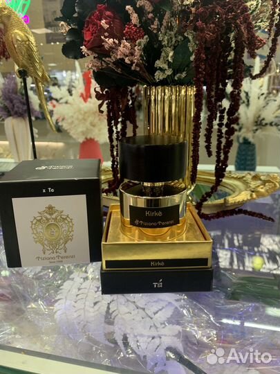 Kirke tiziana terenzi