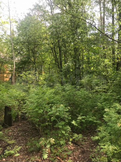 Участок 45 сот. (ИЖС)