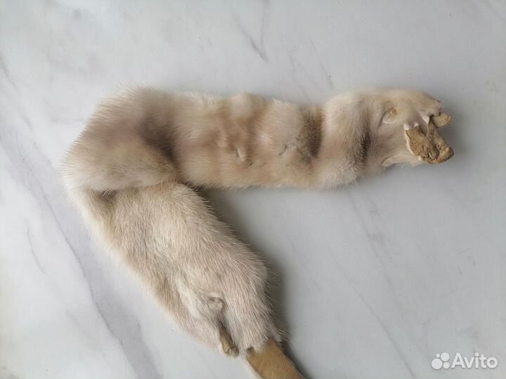 Шкурки меха норки