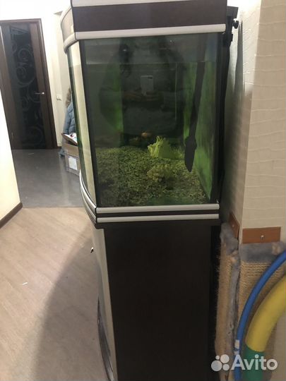 Аквариум 400 л с тумбой и оборудованием б/у