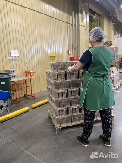 Помощник оператора