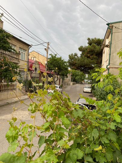 Участок 4 сот. (ИЖС)